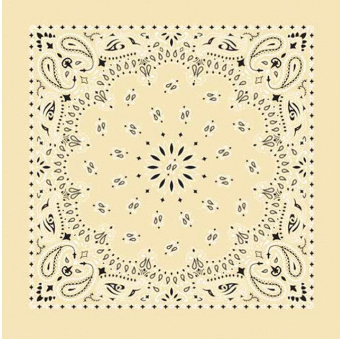 Western Express Traditional Standard Size Paisley Bandana