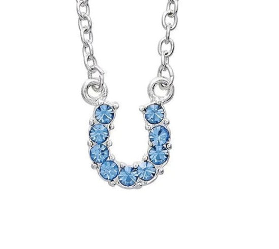 Western Express HN-20 Blue Rhinestone Horseshoe Necklace in Pony Head Gift Box