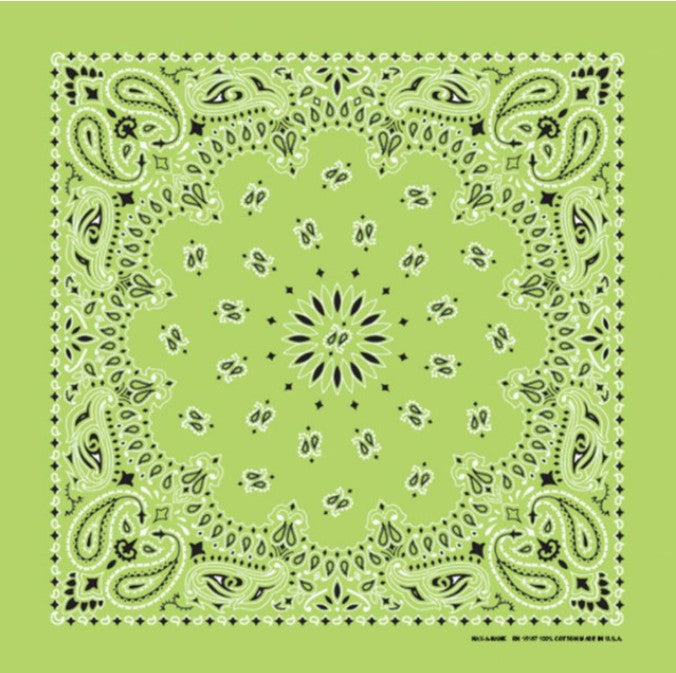Western Express Traditional Standard Size Paisley Bandana