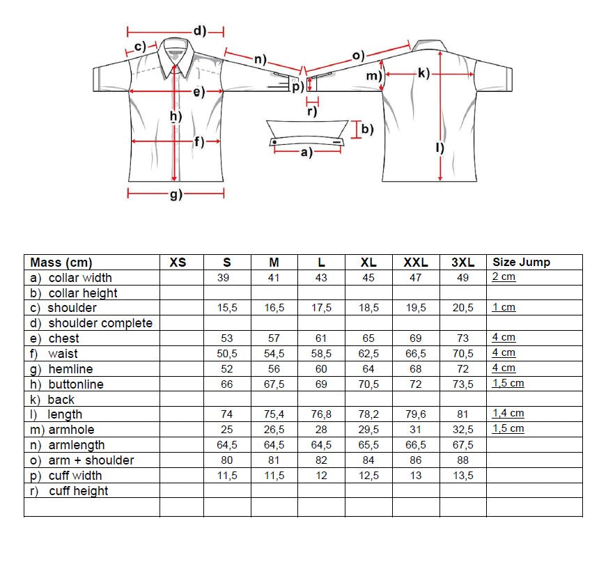 Dixon Mens Western Shirt