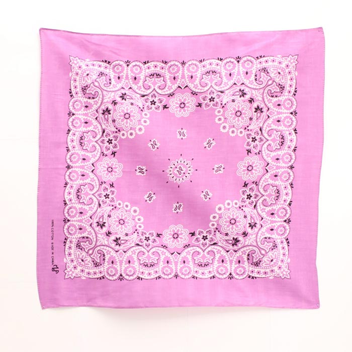Western Express Traditional Standard Size Paisley Bandana