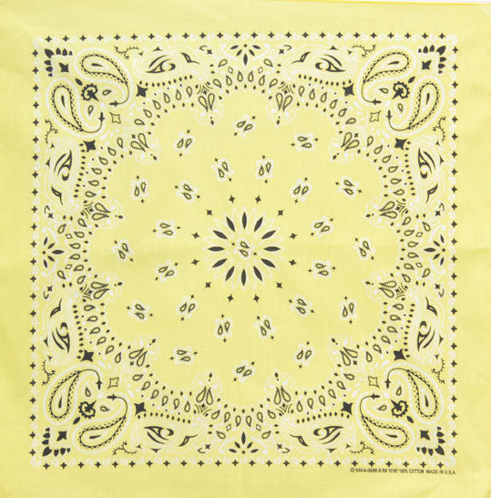 Western Express Traditional Standard Size Paisley Bandana