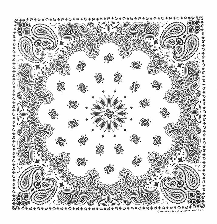 Western Express Traditional Standard Size Paisley Bandana