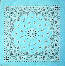 Load image into Gallery viewer, Western Express Traditional Standard Size Paisley Bandana
