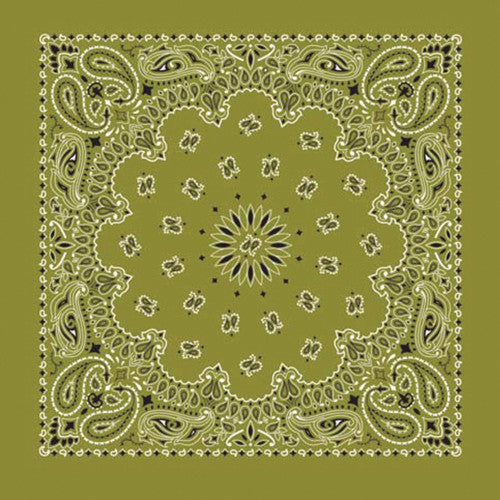 Western Express Traditional Standard Size Paisley Bandana