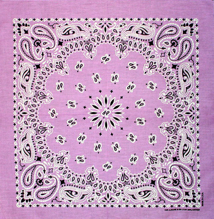 Western Express Traditional Standard Size Paisley Bandana