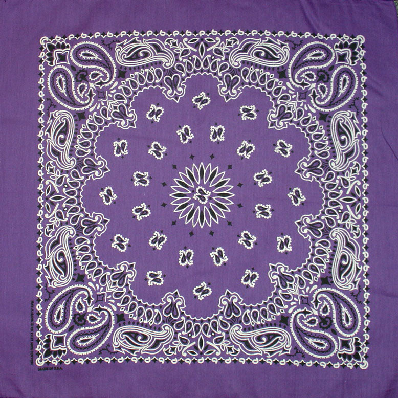 Western Express Traditional Standard Size Paisley Bandana