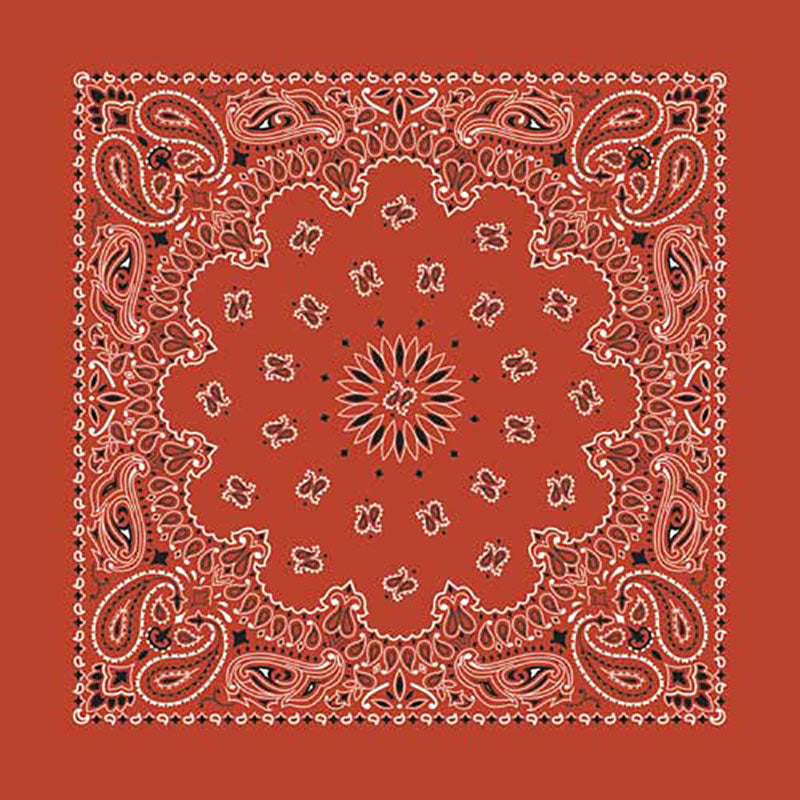 Western Express Traditional Standard Size Paisley Bandana
