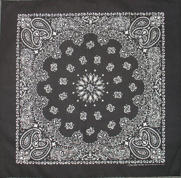 Western Express Traditional Standard Size Paisley Bandana