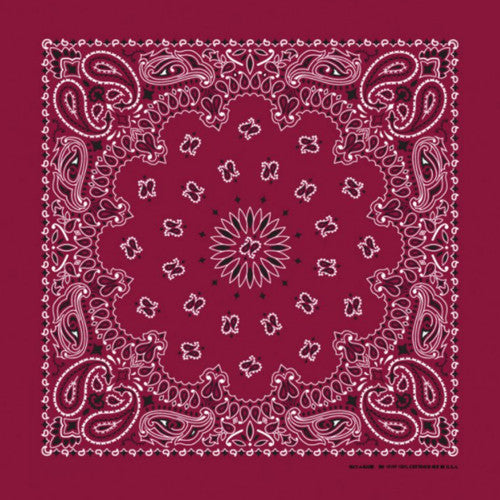 Western Express Traditional Standard Size Paisley Bandana