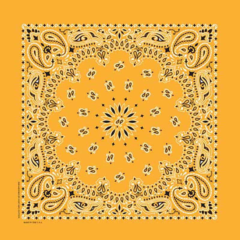 Western Express Traditional Standard Size Paisley Bandana