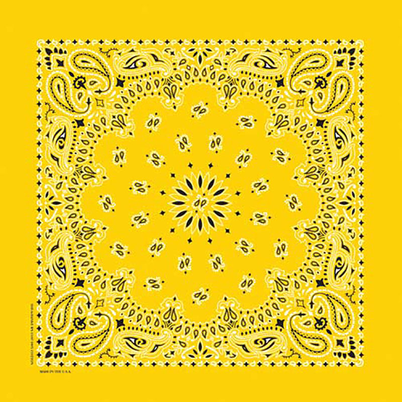 Western Express Traditional Standard Size Paisley Bandana