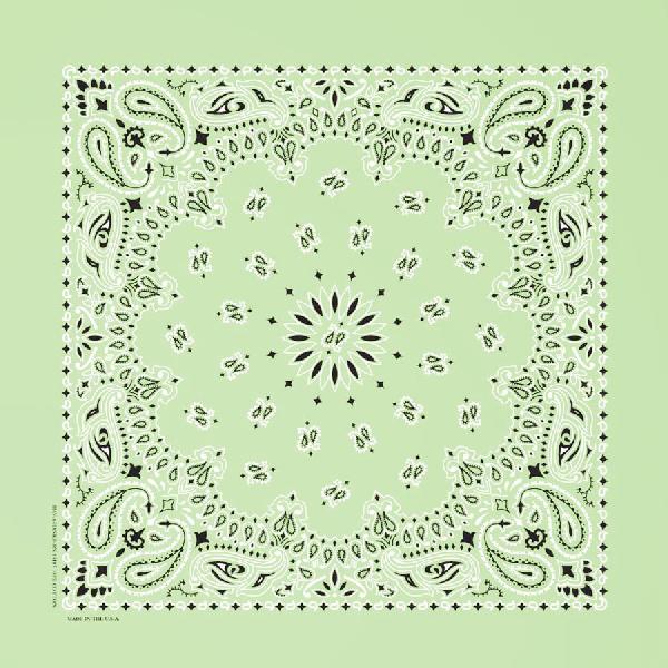 Western Express Traditional Standard Size Paisley Bandana