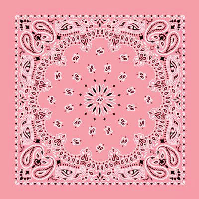 Western Express Traditional Standard Size Paisley Bandana