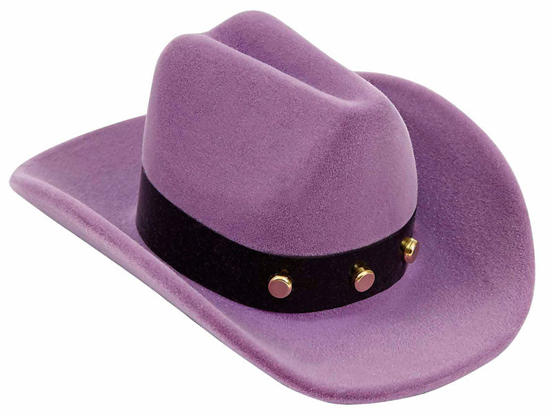 Western Express HE-103 Horse Head Earrings in Cowboy Hat Gift Box