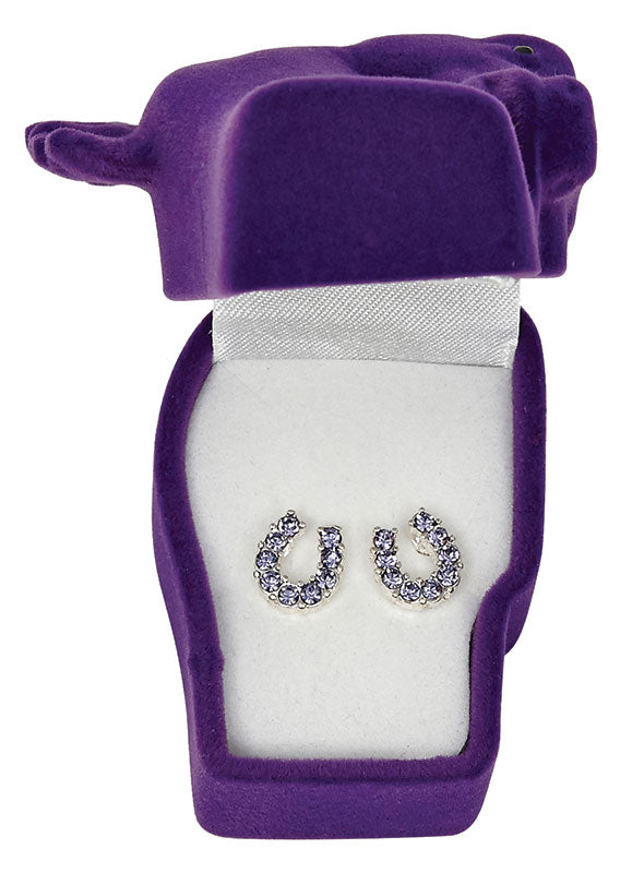 Western Express HE-650 Purple Rhinestone Horseshoe Earrings - Horse Head Gift Box