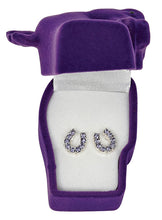 Load image into Gallery viewer, Western Express HE-650 Purple Rhinestone Horseshoe Earrings - Horse Head Gift Box
