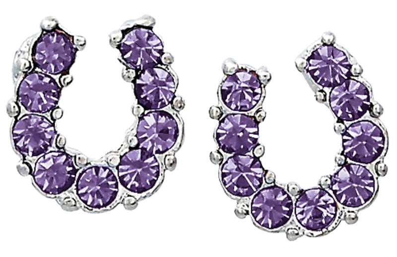 Western Express HE-650 Purple Rhinestone Horseshoe Earrings - Horse Head Gift Box