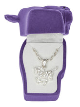 Load image into Gallery viewer, Western Express HN-4 Clear Rhinestone Pony Necklace Horsehead Gift Box
