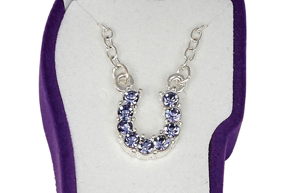 Western Express HN-98 Purple Rhinestone Horseshoe Necklace - Horsehead Gift Box