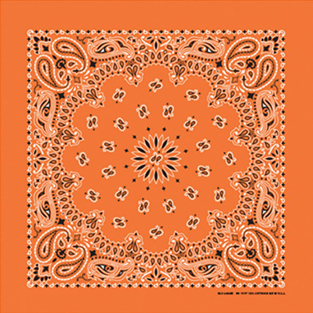 Western Express Traditional Standard Size Paisley Bandana