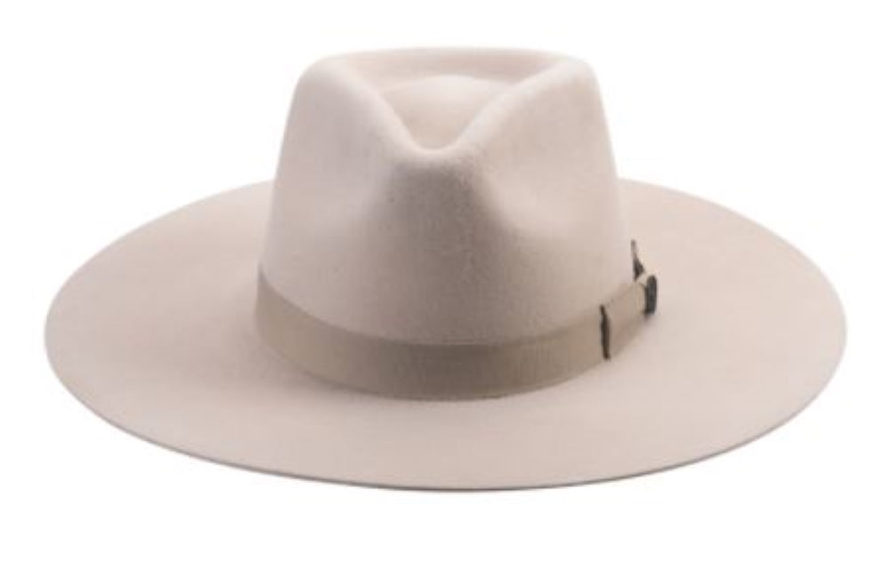 Street Gossip Buckskin
