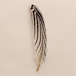 M&F Hat Feather 02864
