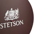 Stetson Hat Box 9959904 in Brown