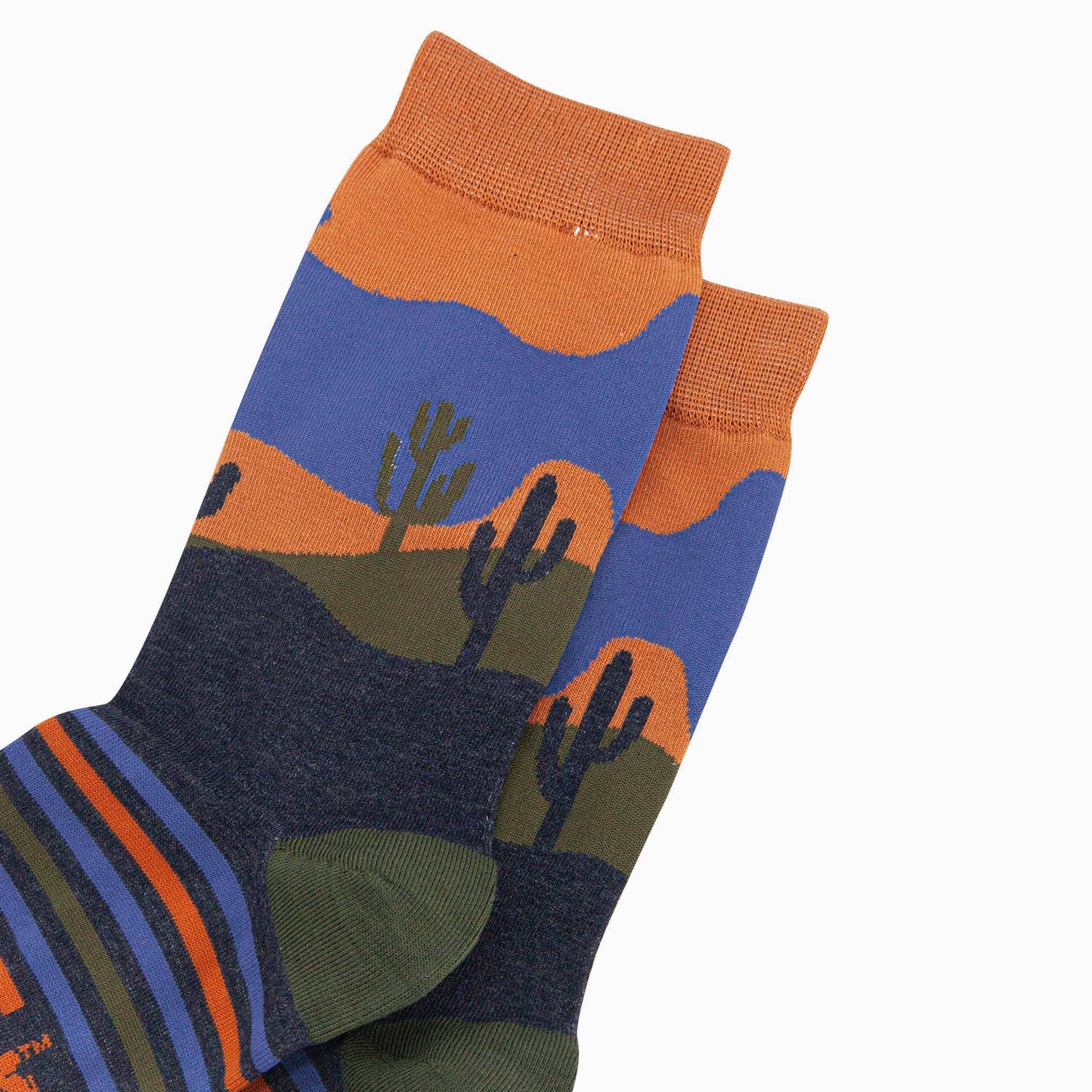 Sock Talk Desert Cactus Stripe Bamboo Socks in Blue/Orange