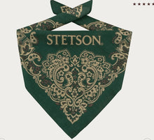 Load image into Gallery viewer, Stetson Paisley Bandana
