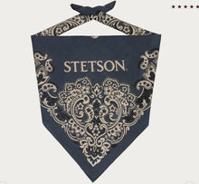 Load image into Gallery viewer, Stetson Paisley Bandana
