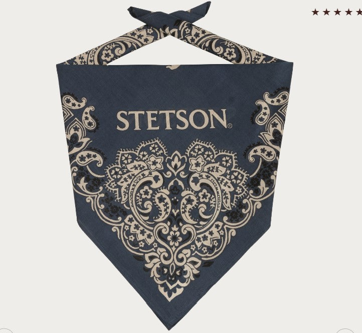 Stetson Paisley Bandana