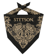 Load image into Gallery viewer, Stetson Paisley Bandana
