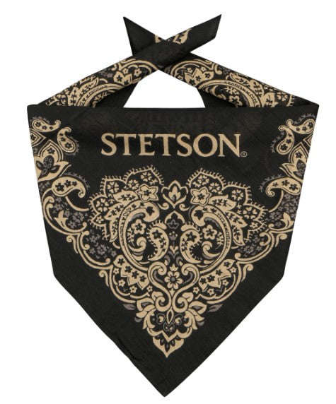 Stetson Paisley Bandana