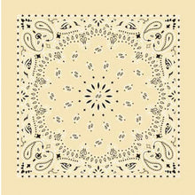 Load image into Gallery viewer, Western Express Traditional Standard Size Paisley Bandana
