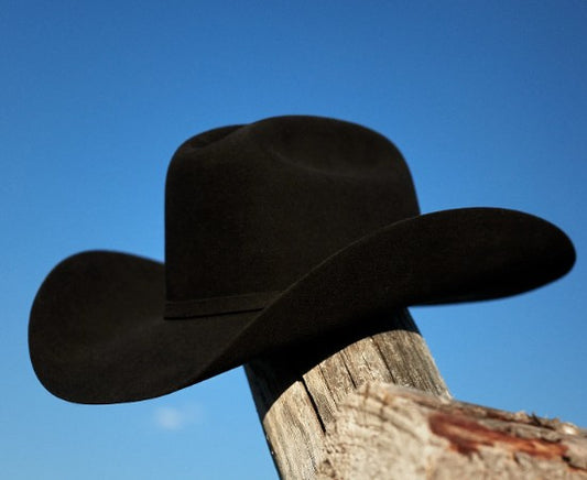 Stetson 3198206 Corral Buffalo 4X in Black