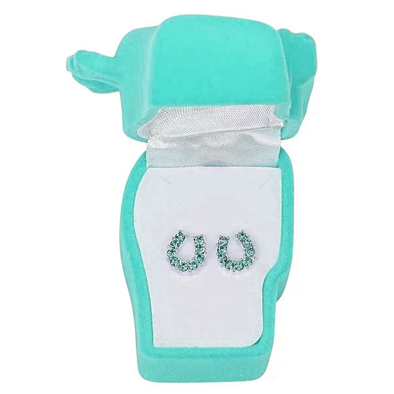Western Express HE-200 Aqua Rhinestone Horseshoe Earrings in a Horsehead Shaped Gift Box