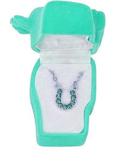 Load image into Gallery viewer, Western Express HN-10 Aqua Rhinestone Horseshoe Necklace in Pony Head Gift Box
