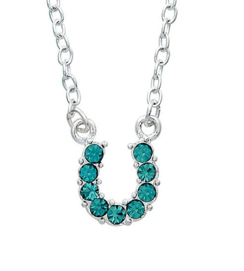 Western Express HN-10 Aqua Rhinestone Horseshoe Necklace in Pony Head Gift Box