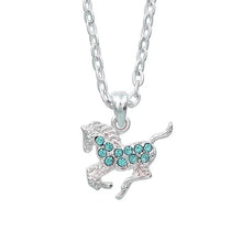 Load image into Gallery viewer, Western Express HN-7 Aqua Rhinestone Pony Necklace Horsehead Gift Box
