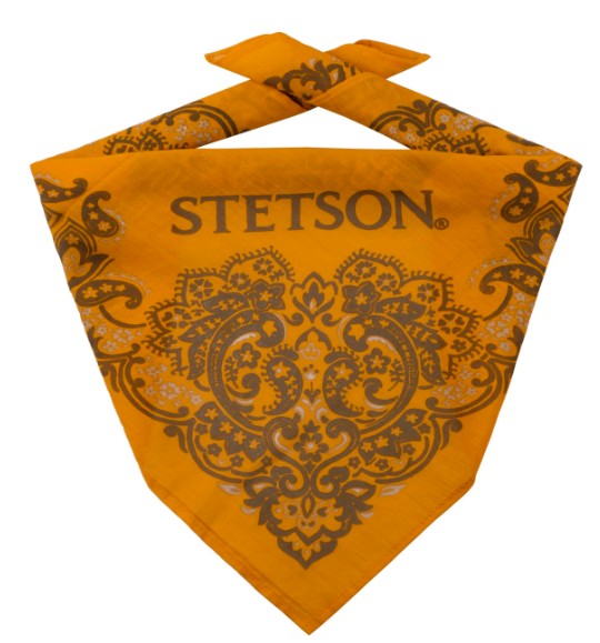 Stetson Paisley Bandana
