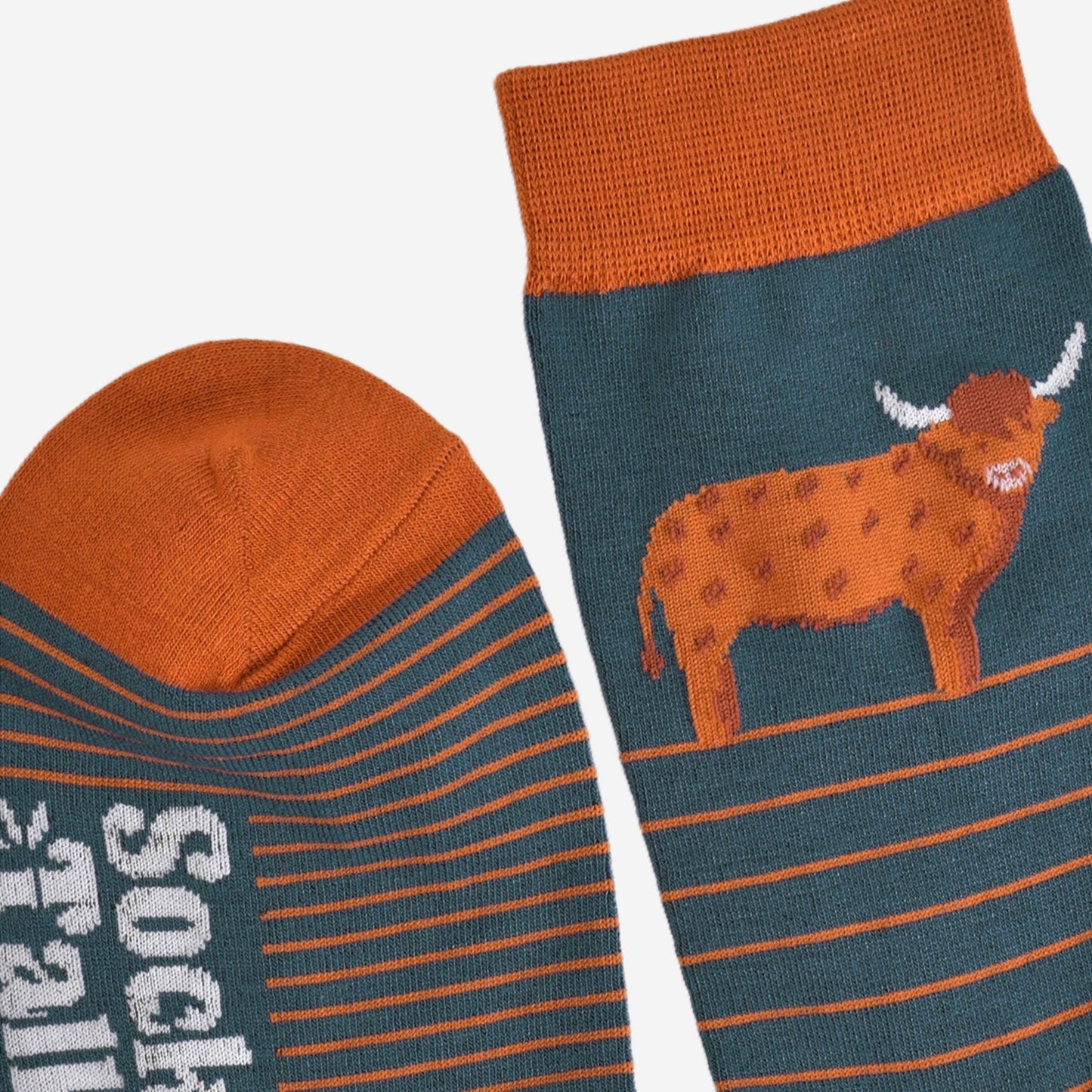 Sock Talk Highland Cow Striped Bamboo Socks in Teal