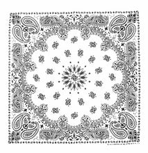 Load image into Gallery viewer, Western Express Traditional Standard Size Paisley Bandana
