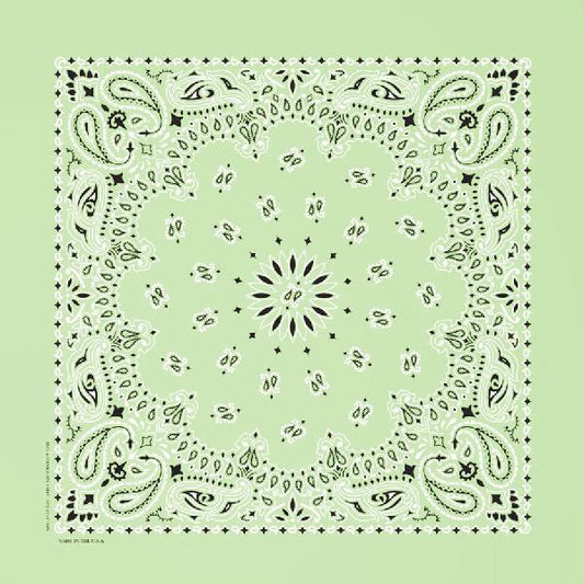 Western Express Traditional Standard Size Paisley Bandana