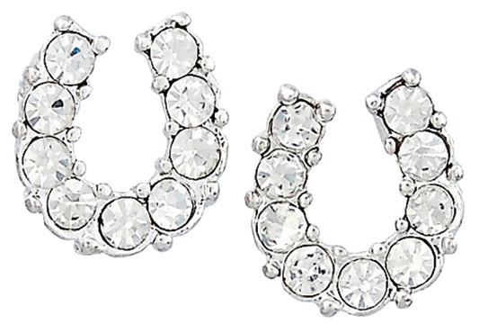 Western Express HE-500 Clear Rhinestone Horseshoe Earrings in a Horsehead Shaped Gift Box