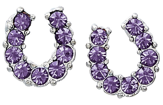 Western Express HE-650 Purple Rhinestone Horseshoe Earrings - Horse Head Gift Box