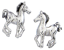 Load image into Gallery viewer, HE-800 Prancing Pony Earrings in a Horsehead Shaped Gift Box
